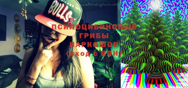spice Краснослободск