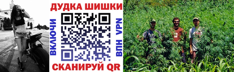 мориарти как зайти  Медвежьегорск  Шишки марихуана ГИДРОПОН 